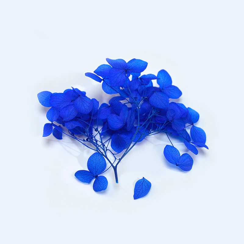 1 коробка Гортензия вечная сухой цветок DIY Эпоксидной смолы ручной работы