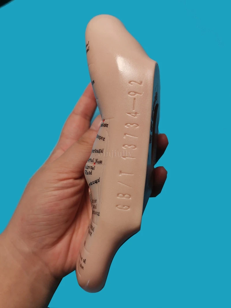 Семена ваккарии для акупунктуры 17 см мягкая резина английские иероглифы с