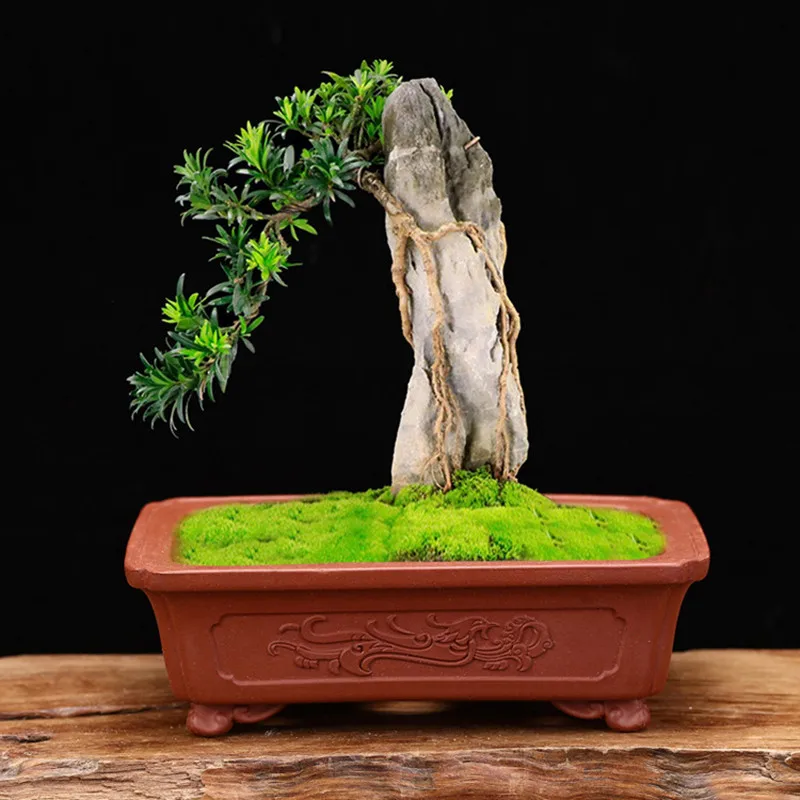 Изысканный Фиолетовый песок цветочные горшки для висячих квадратной и