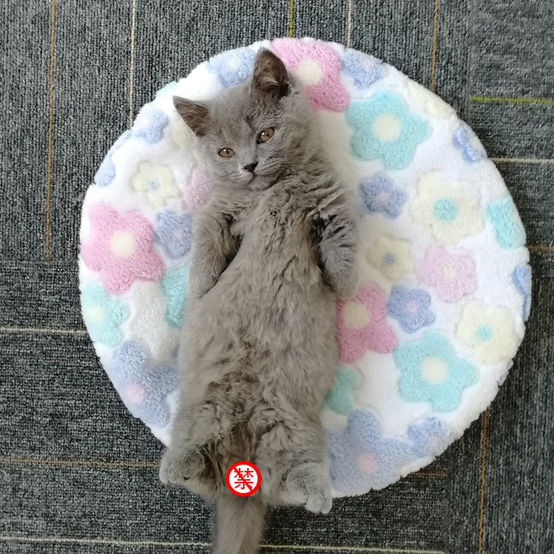 Кошачье гнездо всесезонные универсальные товары для кошек кошачий домик кошка