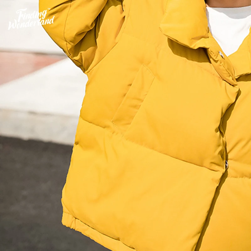 2019 зимняя женская стеганая куртка с хлопковой подкладкой утепленное пальто для