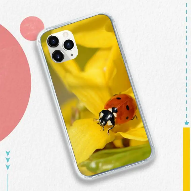 

Four leaf clover ladybug animal Phone Case Transparent soft For iphone 5 5s 5c se 6 6s 7 8 11 12 plus mini x xs xr pro max