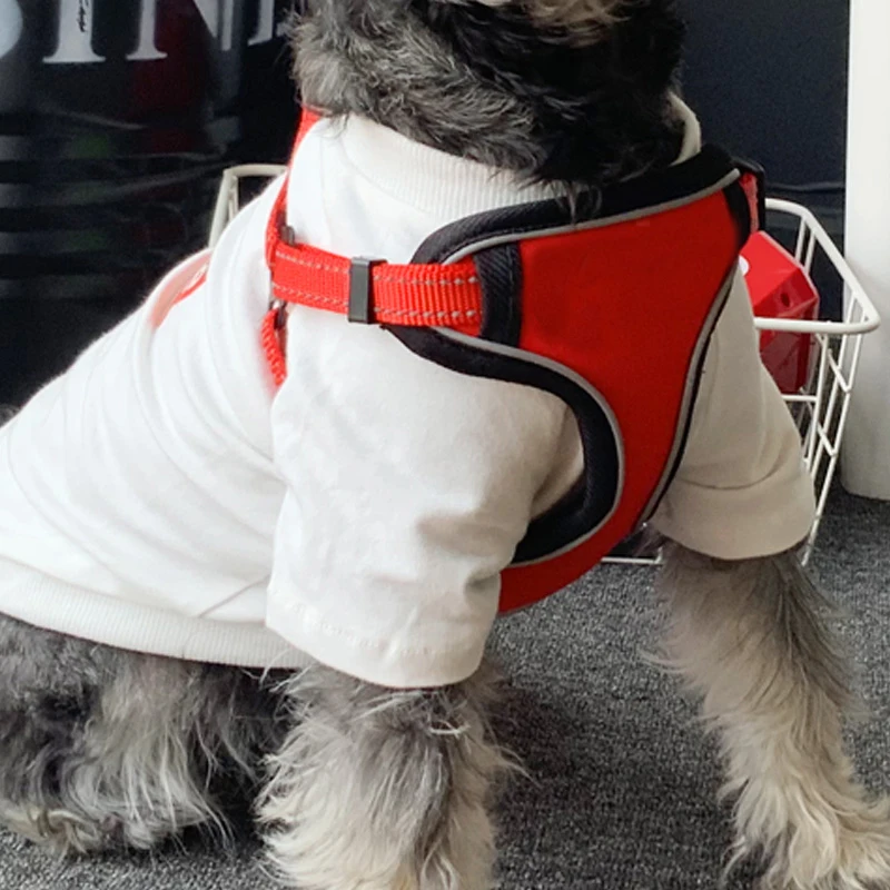 Поводок со шлейкой для собак поводок маленьких больших кошек щенок класса люкс