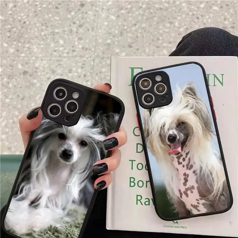 

Dog of breed Chinese crested Phone Case matte transparent For iphone 7 8 11 12 13 plus mini x xs xr pro max cover