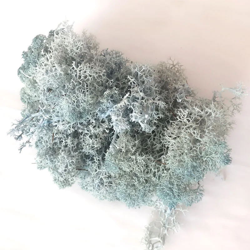 light blue 20 г Натуральный Мох искусственное растение вечный мох домашний сад украшение DIY цветок материал микро Ландшафтные аксессуары - Цвет: light blue