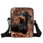 Сумка-мессенджер с милой собакой такса, женская сумка, сумка для девушек, сумки-ранец, повседневные сумки через плечо для путешествий, женская сумка через плечо, сумка для книг