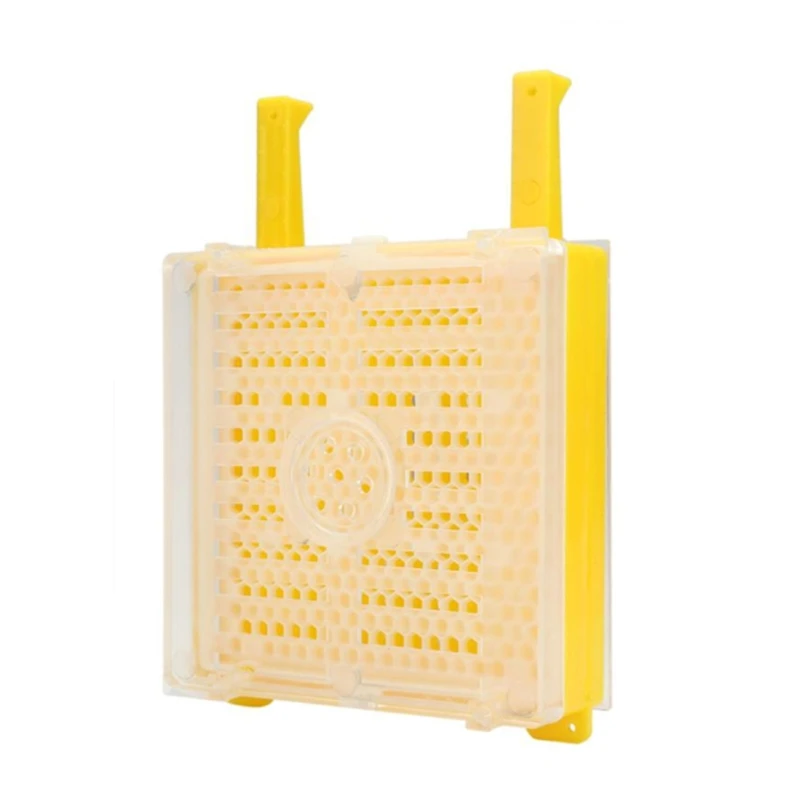 

Пчеловодная королева разведение комплект с Сотами зрелище коробка ролик клетки для пчела разведение пчеловода в виде пчелиных сот с инстру...