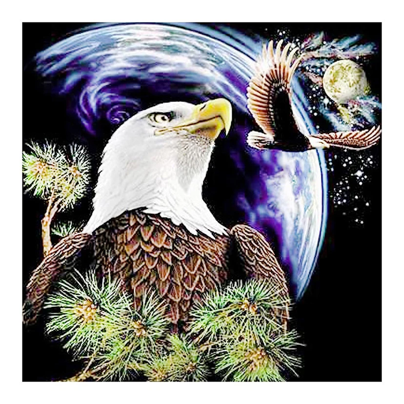 

New Arrivals 5D DIY Full Round Diamond Painting Planet & Eagle 3D Embroidery Cross Stitch Rhinestone Mosaic Home Decor Art Y599
