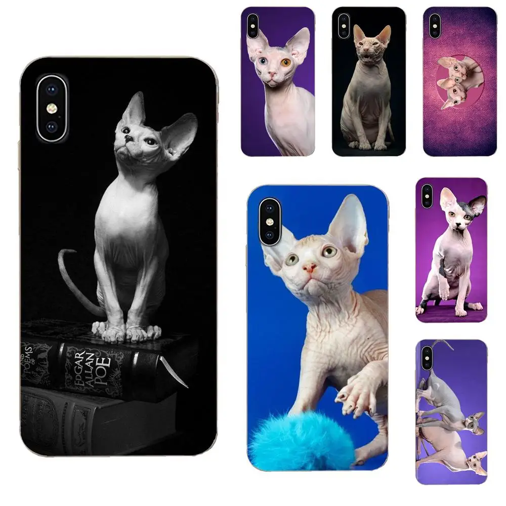 Большая дружественная кошка Sphynx для Huawei Honor Mate 7 7A 8 9 10 20 V8 V9 V10 V30 P40 G Lite Play Mini Pro P Smart