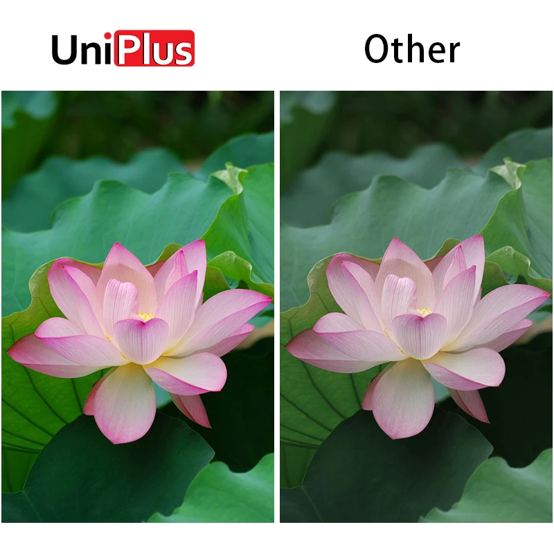 Набор цветных чернил для фотобумаги UniPlus совместимый с CP1200 CP1300 CP910 CP900 бумажный