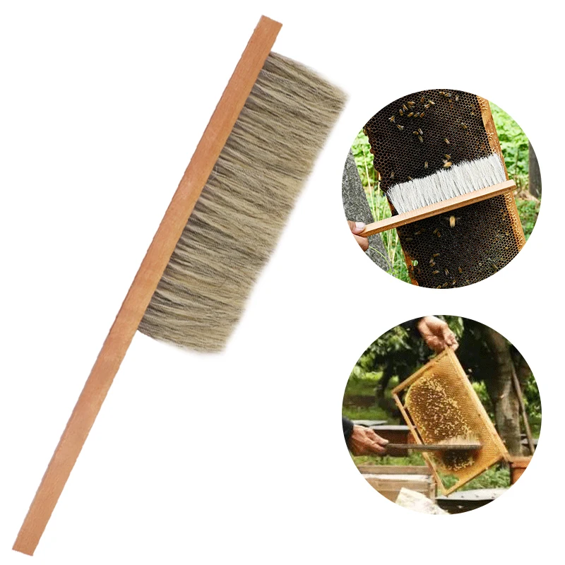 

Beekeeping Tools Hive Cleaning Brush Soft Horsetail and Pig Bristles Hair Two Rows Bee Sweep Brush Beekhive Cleaning Tools