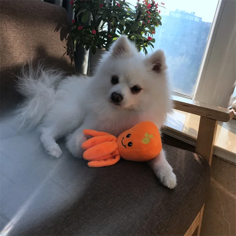 Тренинг собак игрушки поставки Забавный Кот игрушка прекрасная маленькая белая