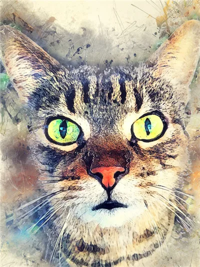 FA8116 Алмазная мозаика HUACAN с изображением кота 5d, алмазная живопись, полная квадратная Алмазная вышивка, распродажа, стразы, картина, украшение для дома - Цвет: FA8116