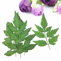 50pcs pressed dried flower koelreuteria paniculata leaves for epoxy resin jewelry making nail art craft diy bookmark accessories