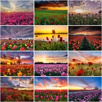 chenistory painting by numbers set sun landscape kits for adults handpainted diy coloring by number red flowers home decoration
