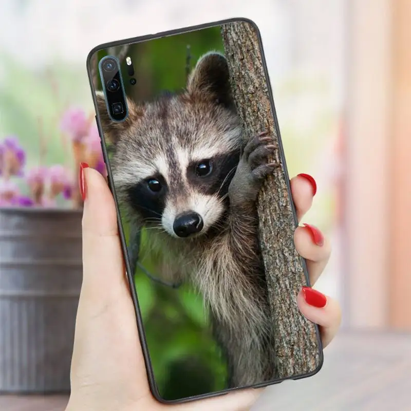 

Animal Raccoon Fox Phone Case For Huawei honor Mate P 10 20 30 40 i 9 8 pro x Lite smart 2019 nova 5t