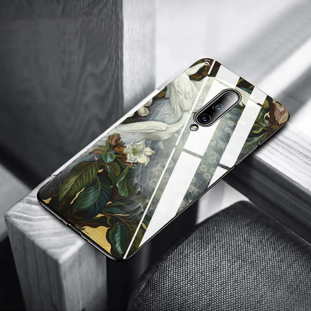 Чехол для телефона OnePlus 7 Pro 6T 6 5 T TPU чехол Павлин Печатный узор закаленное стекло |