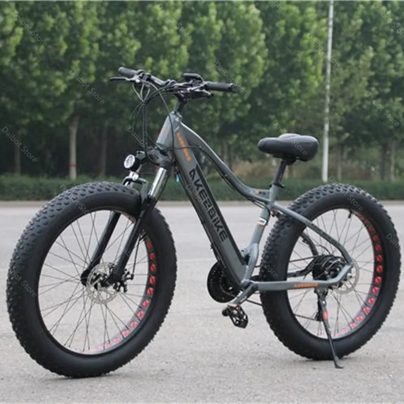 

48V 350W 40KM/H Powerful Electric bicycle 2 Wheels Electric Bicycles Big Tires Off Road Electric Mountain Bike Removable Battery