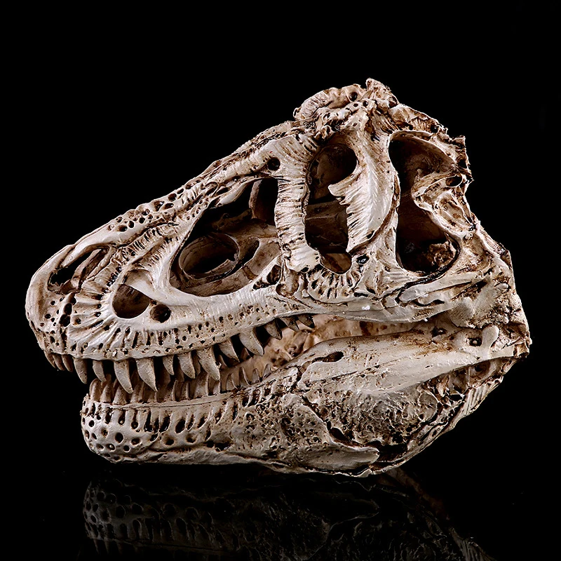 

Resin Crafts Statues Dinosaur Skull Figurines Art Research Teaching Skeleton Model Creative Home Ornaments Halloween Decoration