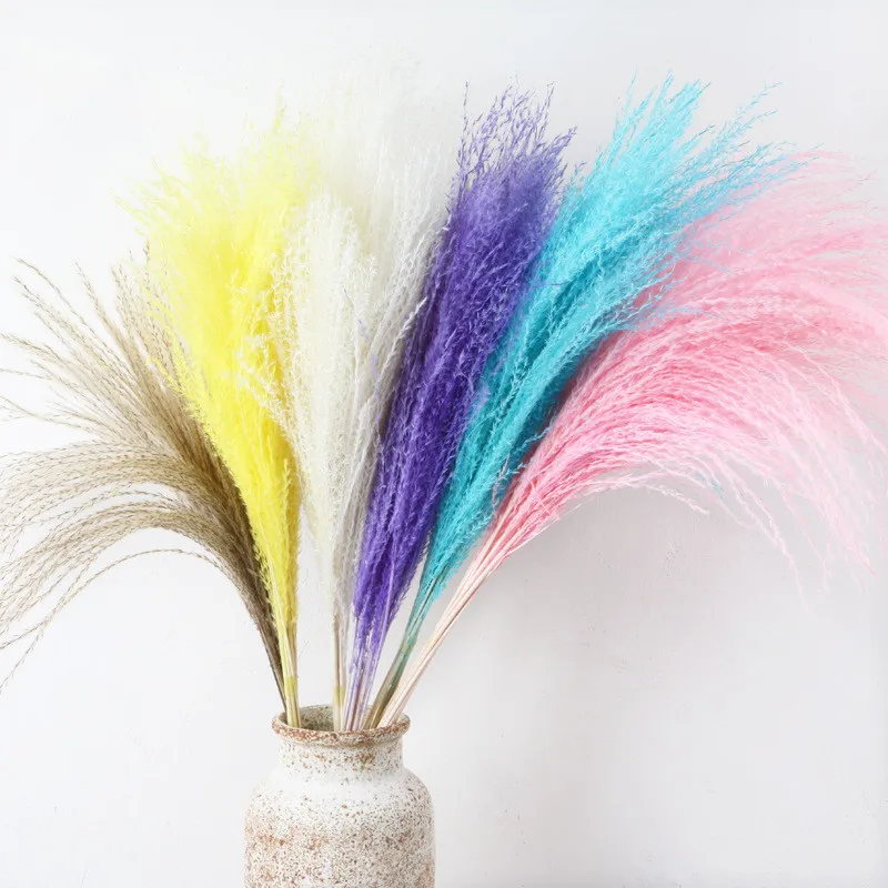 

Natural Plants Pampas Grass Fluffy Dried Flower Phragmites Grass Wedding Arrangement DIY Bouquet Home EasterDecorationDekoration