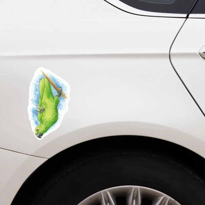 

15cmx8cm Funny parrot Vinyl Car stickers Decals Motorcycle Accessories Car-Window Decorative Goods PVC