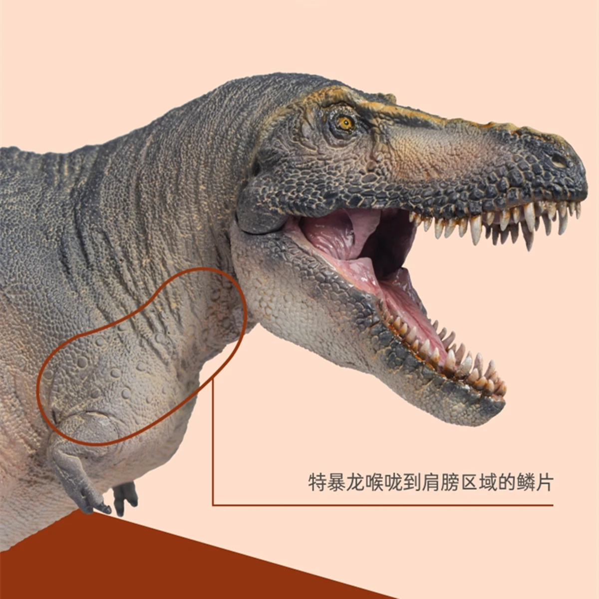 &iexcl;En STOCK! PNSO Tarbosaurus Chuanzi modelo tiranosaurio, dinosaurio tiranosaurio, Colector de animales, decoraci&oacute;n, juguete para regalo para adultos-3