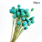 50 шт.лот счастливый цветок натуральный сушеный букет цветов украшение для дома настоящий цветок сделай сам Композиция Цветов реквизит для фотосъемки