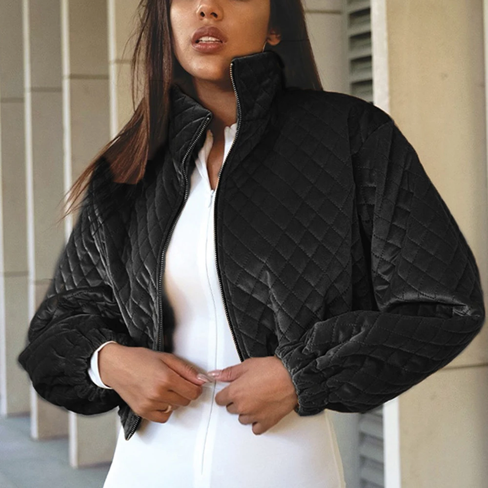 

2021 Women's Autumn New Jacket Short Coat Casual Simple Fashion Style High Collar Solid Color Long-sleeved Zipper Warm Top