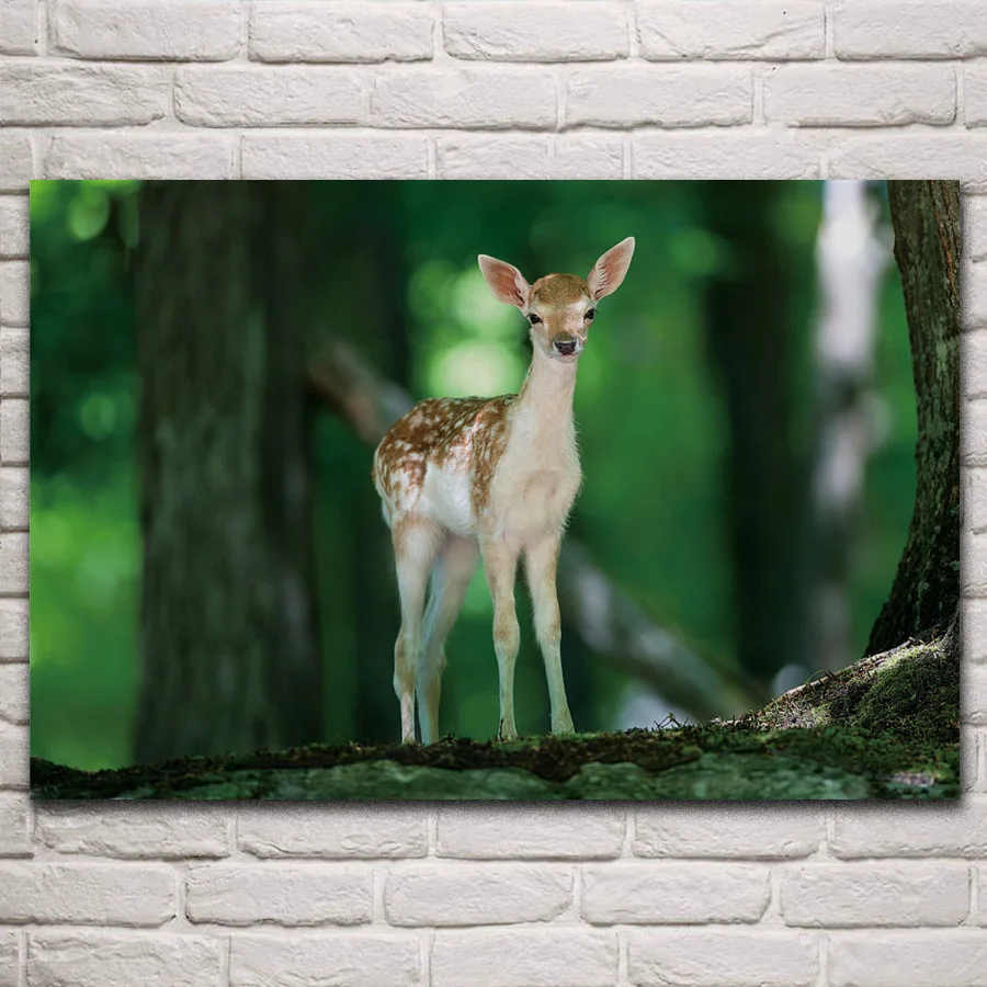 

Baby deer forest trees cute animals artwork fabric posters on the wall picture home art living room decoration KP074