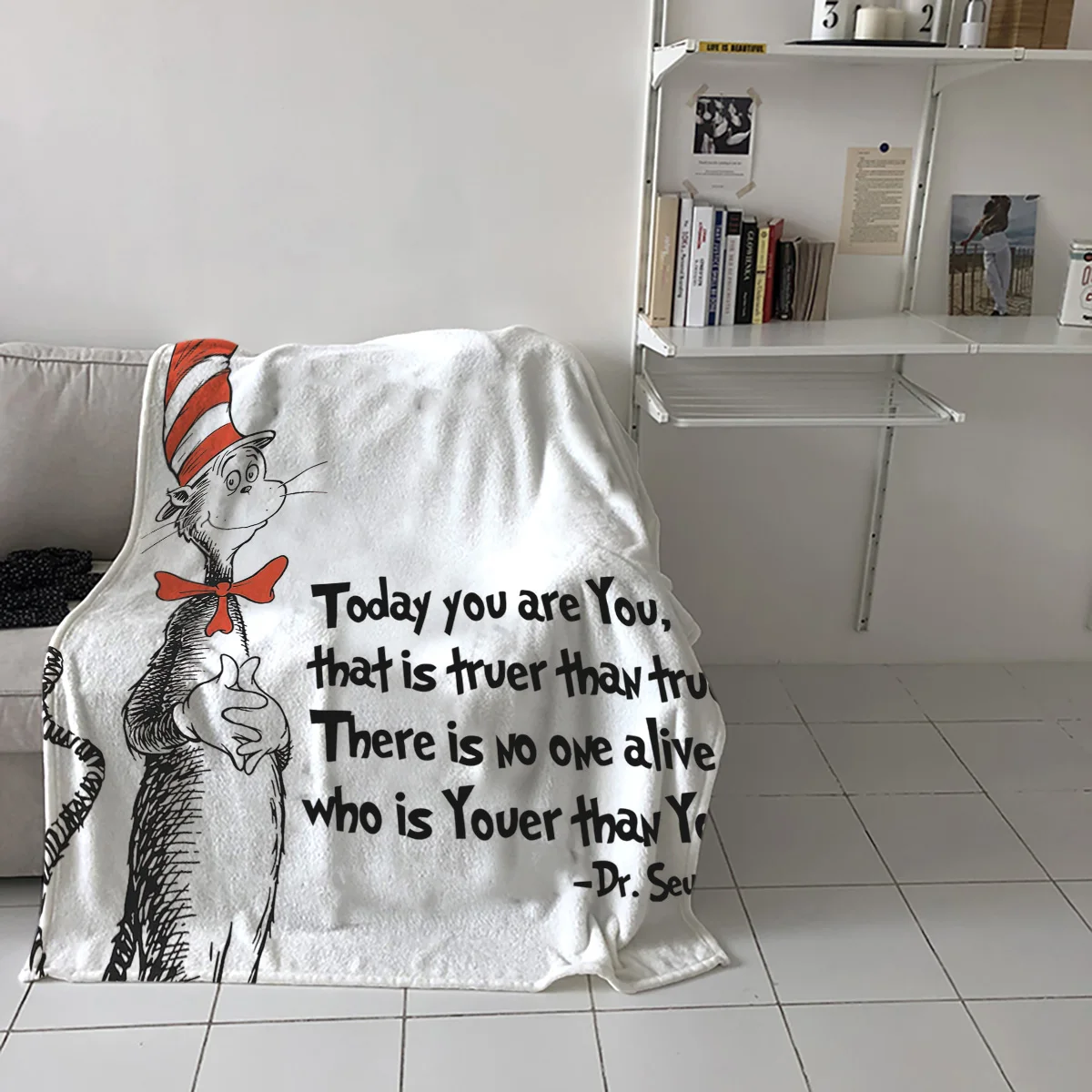 Sox Cat носить высокий головной убор нарисованный вручную Dr. Seuss напечатанный сон