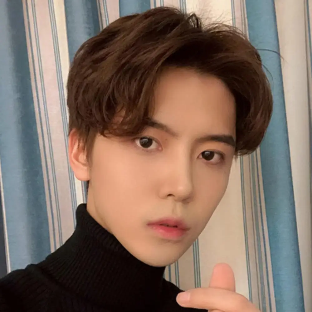 

Natural Realistic Cosplay Party Center Parting Men Short Hair Wig Hairpiece