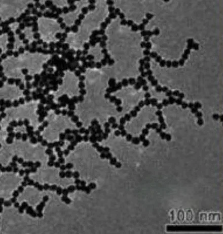 

Au nanoparticle chain