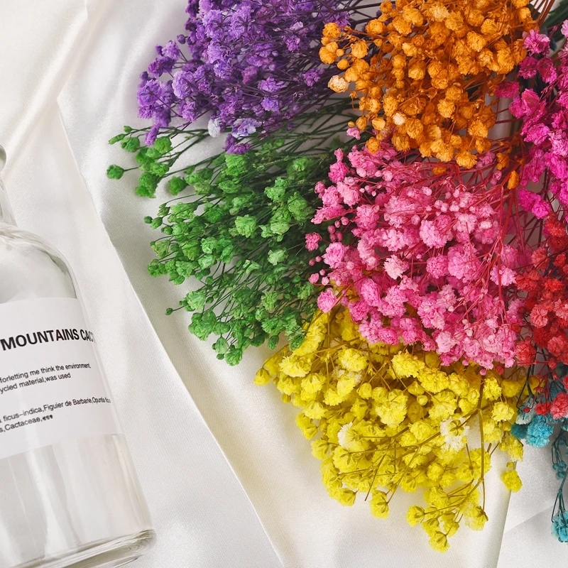 Сушеные цветы Mini Gypsophila натуральный цветочный букет из растений Babysbreath Свадебная