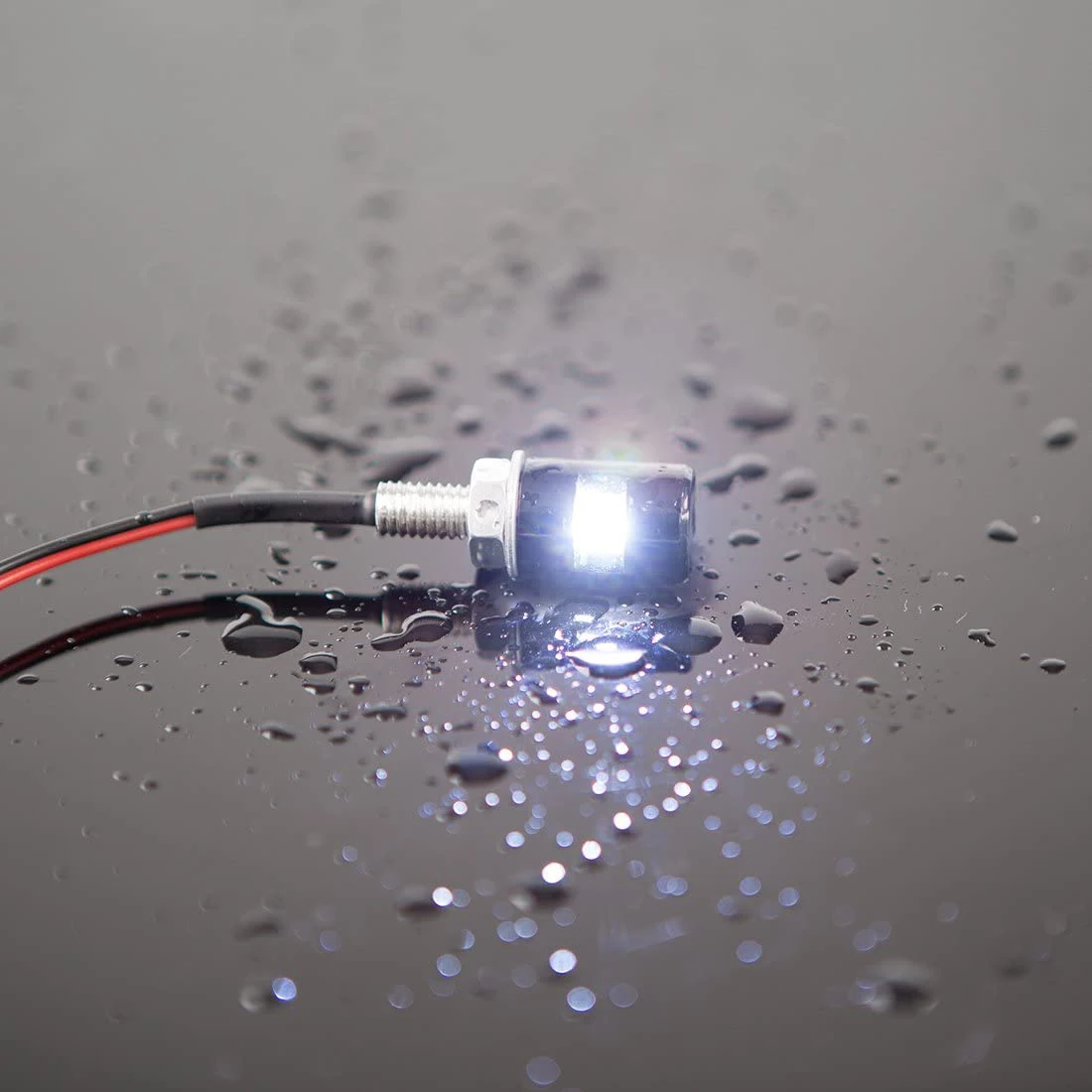 2 шт. автомобильные мотоциклетные номерные светильники 12V LED 5630 SMD автомобильные задние передние светодиодные лампы на винтовых болтах источник света.