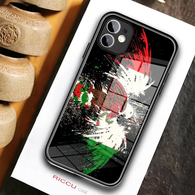 Чехол для телефона с мексиканским флагом закаленное стекло iPhone 11 12 Pro Max Mini XR XS MAX 8X7