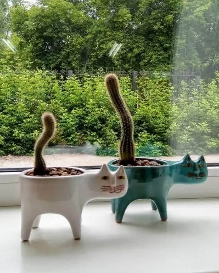 

Cute Cat Tail Flowerpot Ceramic Personality Creative Cactus Multi-meat Simple Decoration Desktop Cartoon Animals. Flower Pot