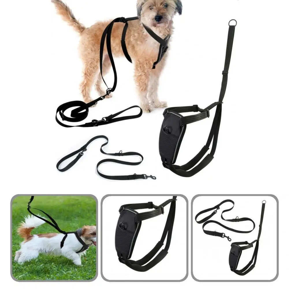 

Черный 1 комплект, носимый тренировочный жилет для домашних животных, одежда, аксессуары для домашних животных, шлейка для щенков, многоцеле...