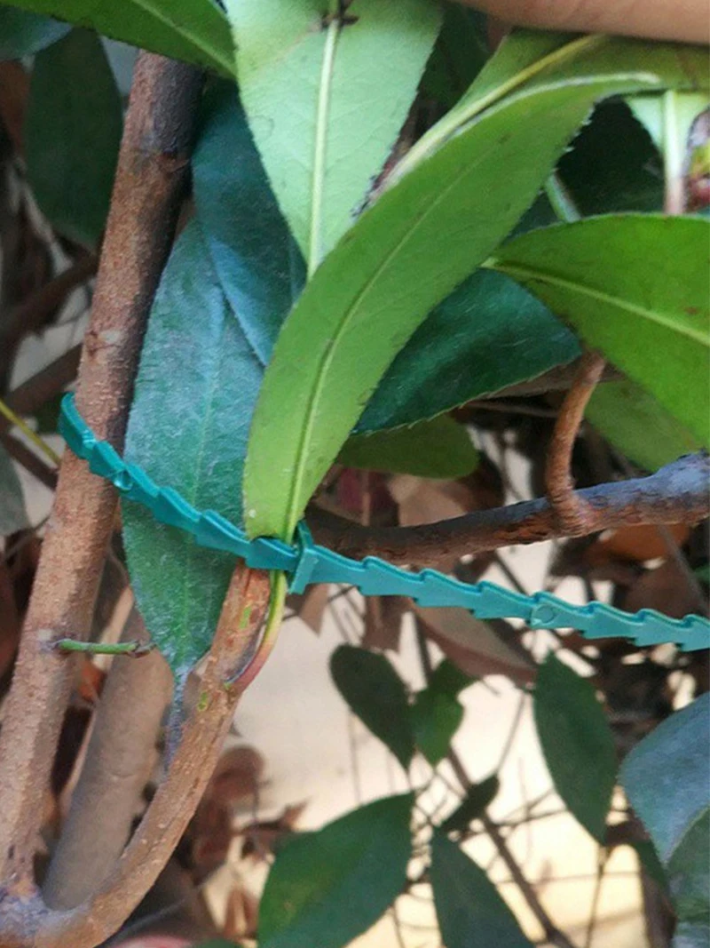 Поясной ремень для сада длиной 17 см 50 шт. многофункциональные зеленые рыбья кость