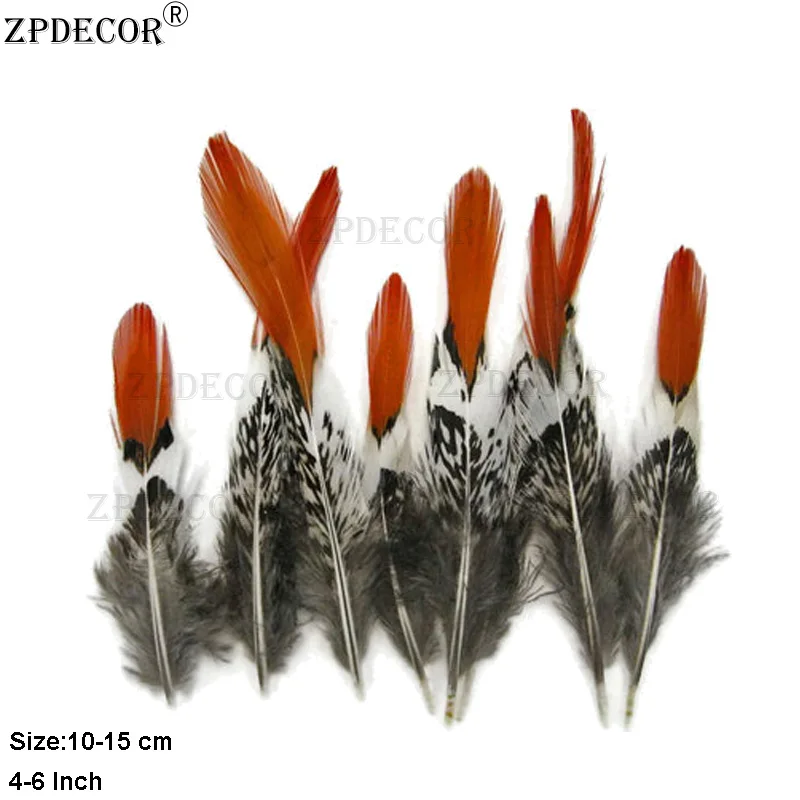 

ZPDECOR Inch 4-6 10-15CM Orange Tips Golden Pheasant Feathers
