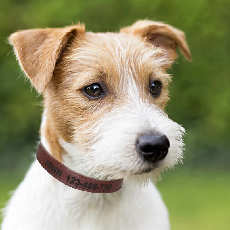 Именной ошейник для собак индивидуальная гравировка имени маленьких средних и