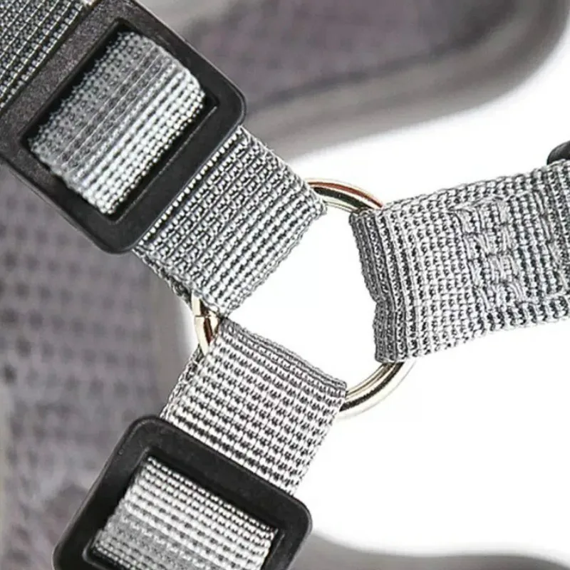 Шлейка поводок для собак нейлоновая сетчатая дышащая регулируемая