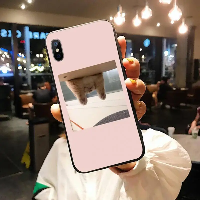 

Literary cat interesting Cute animal Phone Case for iPhone 11 12 pro XS MAX 8 7 6 6S Plus X 5S SE 2020 XR