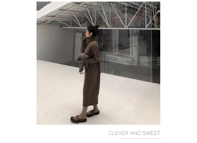 Turtleneck Cashmere Knitted Sweater Dress Women Autumn Spring Noodles Elastic Long Sleeve thick Pullover Winter Dress