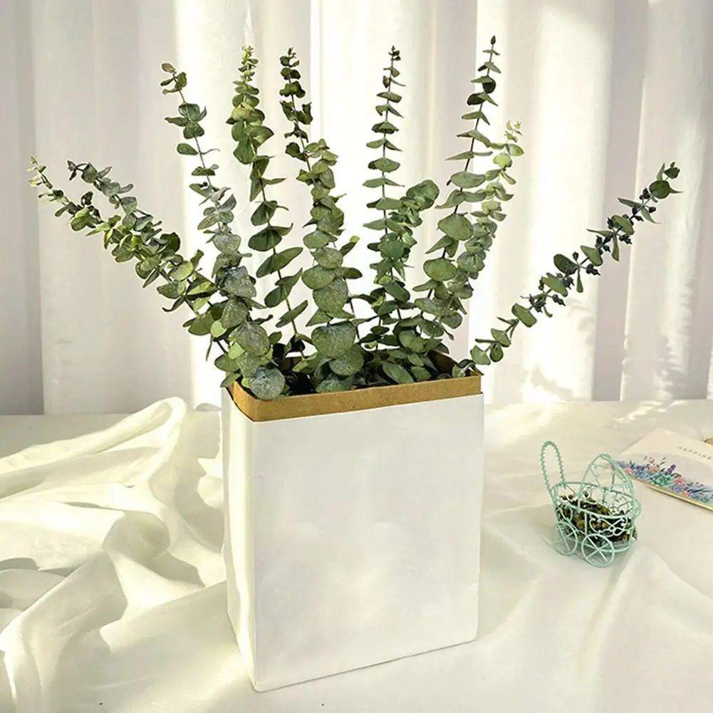 

Natural Eucalyptus Leaves Dried Flower Wedding Decorate Eucalipto Stems For Home Ornaments DIY Green Decor Plant Y2L7
