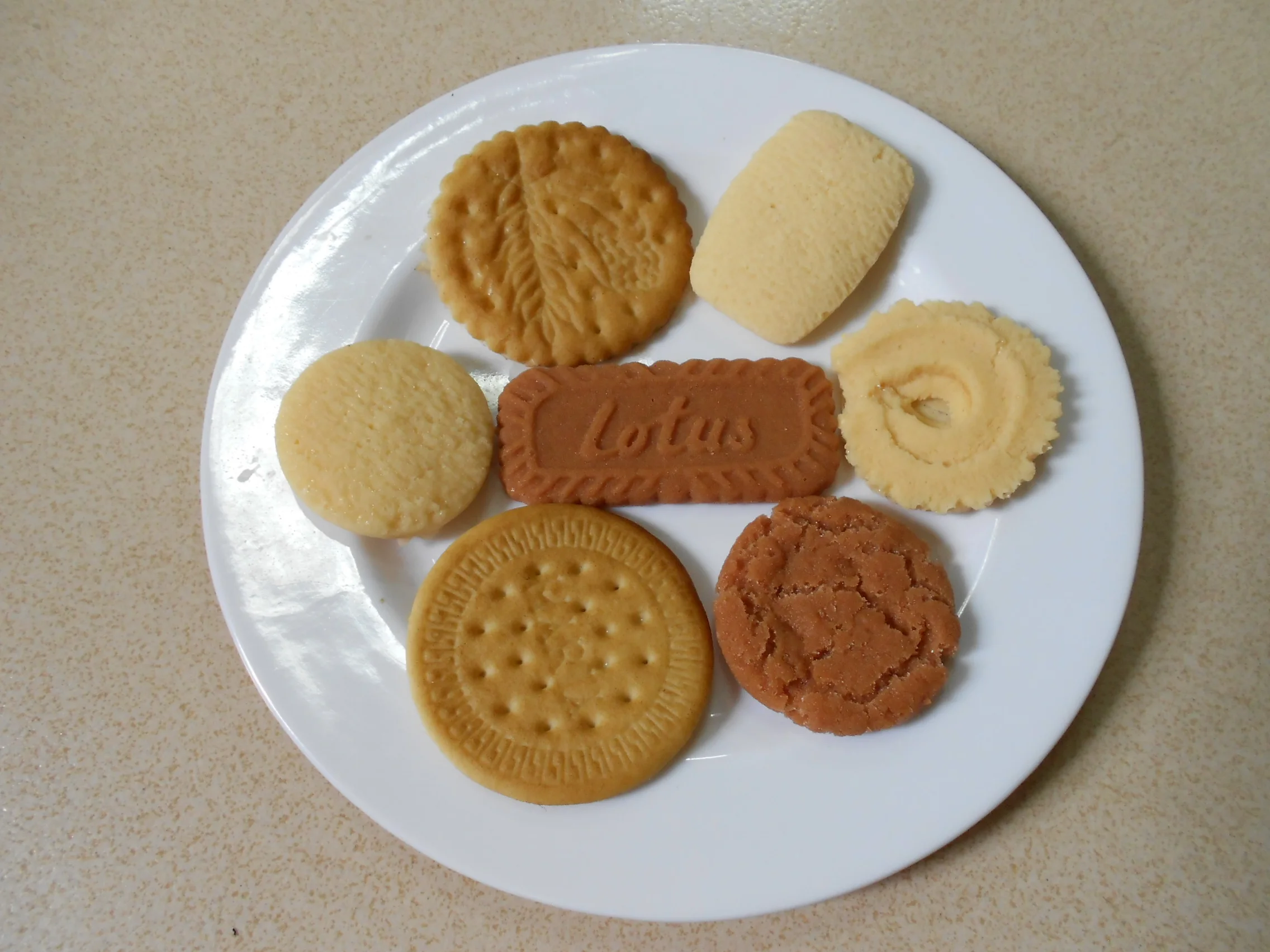 Искусственное печенье шоколадное 10 комплектов|food model|food fakefood chocolate |