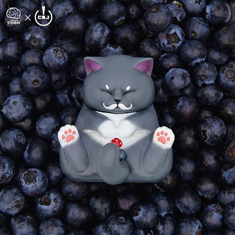 Натуральная кожа с заниженным шаговым швом кошка глухая коробка Фэнтези мечта