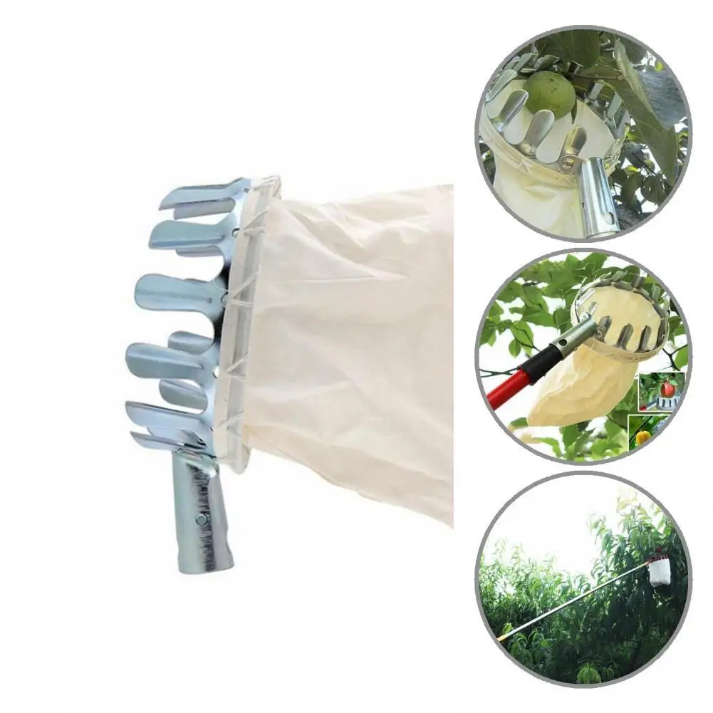 

Portable Attractive Anti-slid Effective Fruit Picker Metal Fruit Catcher Effective for Yard
