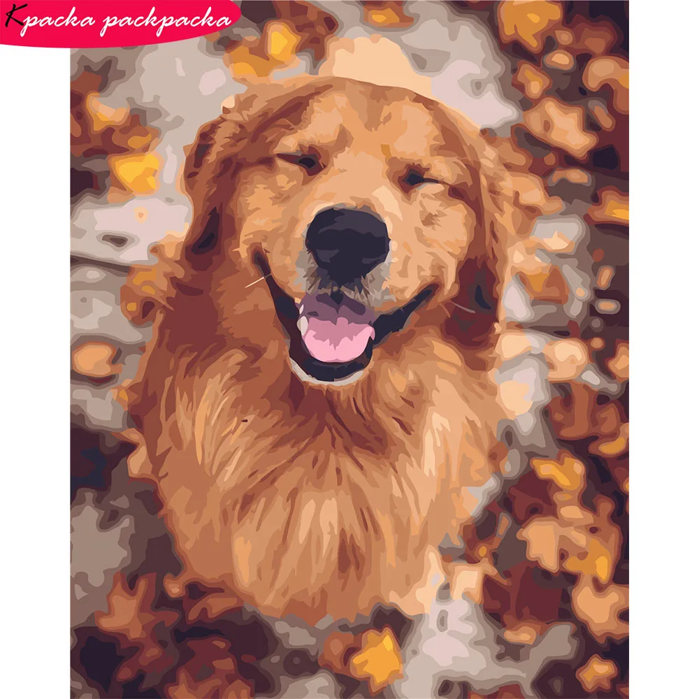 

DIY подходит для породы золотистый ретривер со вставкой-картина по номерам комплект Безрамное Цифровая живопись 50x40 см 28 Цвета украшения дом...