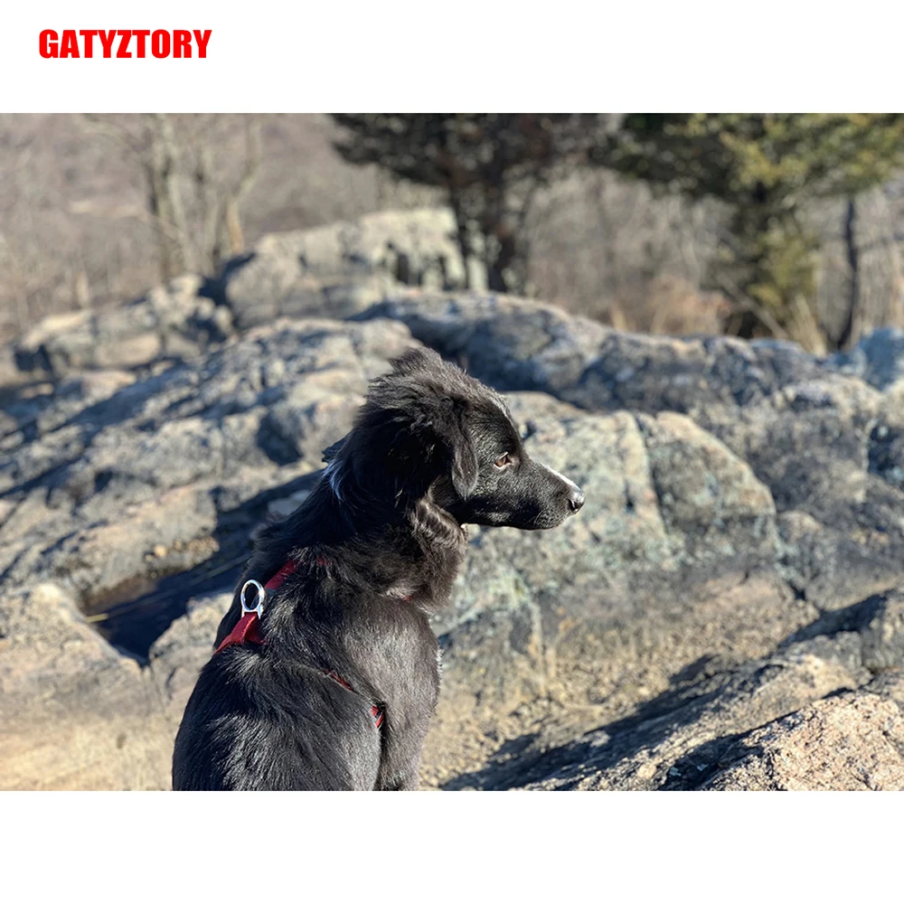 GATYZTORY 5D алмазная живопись полный квадрат DIY домашний декор мозаика Стразы картина
