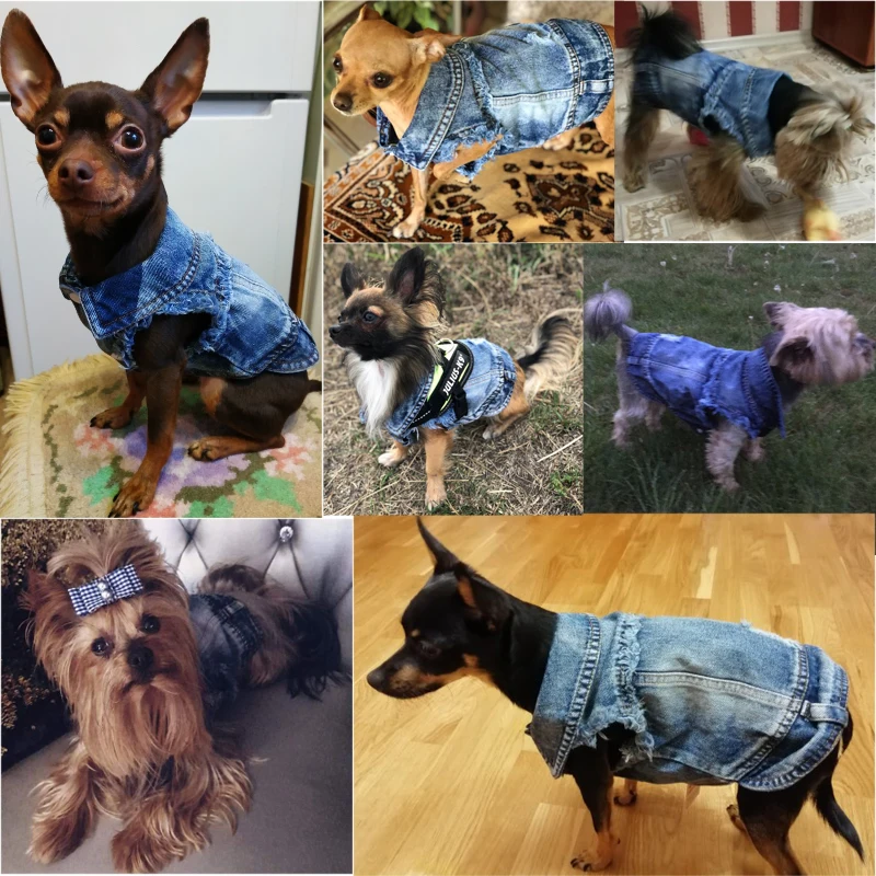 Жилет для собак рубашки одежда летняя джинсовая футболка с дырками щенков кошек